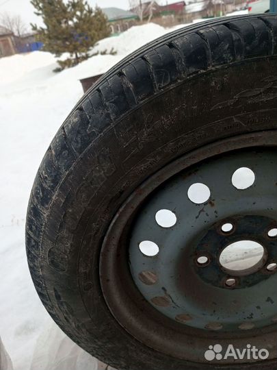 Accelera 651 Sport 175/75 R14 22H