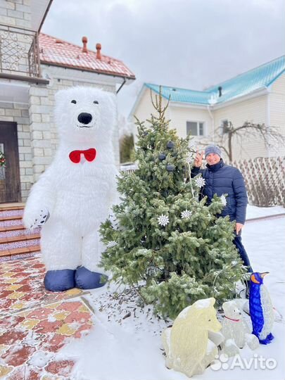 Поздравление Белого медведя