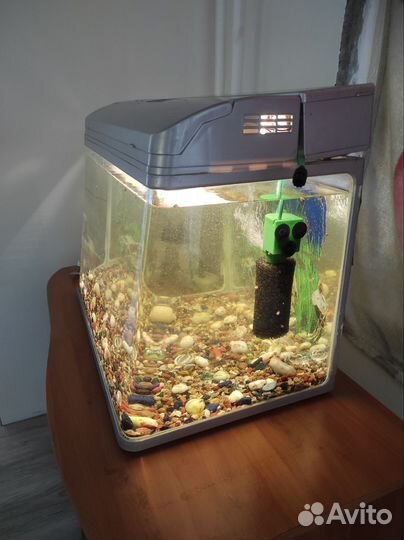 Аквариум jebo