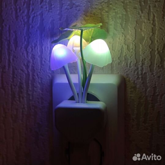 Ночник Гриб