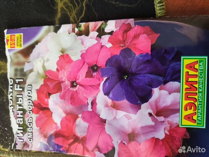 Рассада петунии