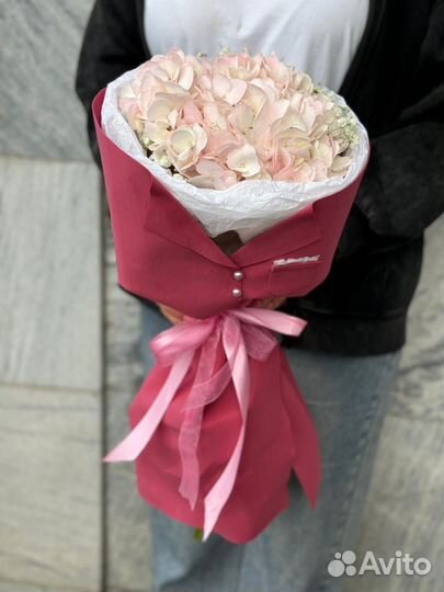 Гортензия на 1 сентября