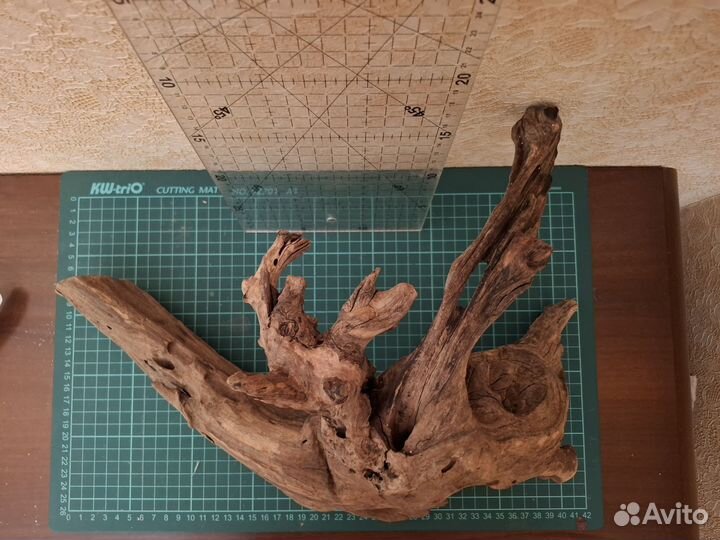 Аквариум, коряга мангровая, пропант