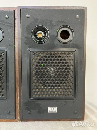 Акустическая система колонки Радиотехника