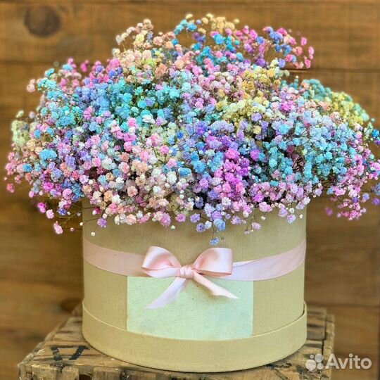 Радужная Гипсофила. Доставка/Самовывоз