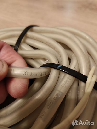 Пэн электрисеский