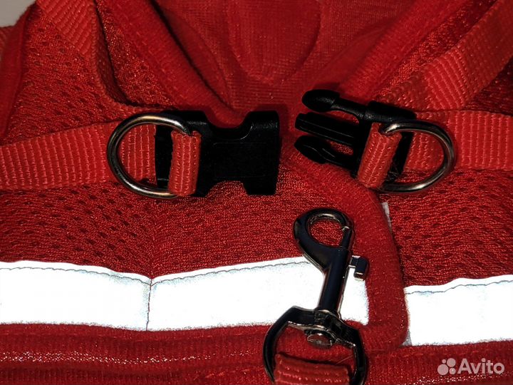 Красная шлейка с поводком для собачки, размер S