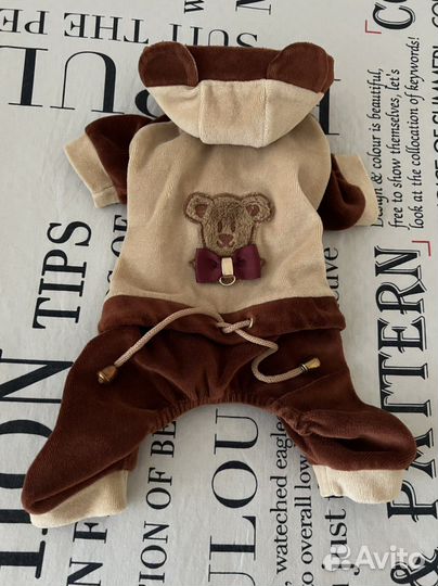 Одежда для маленьких собак