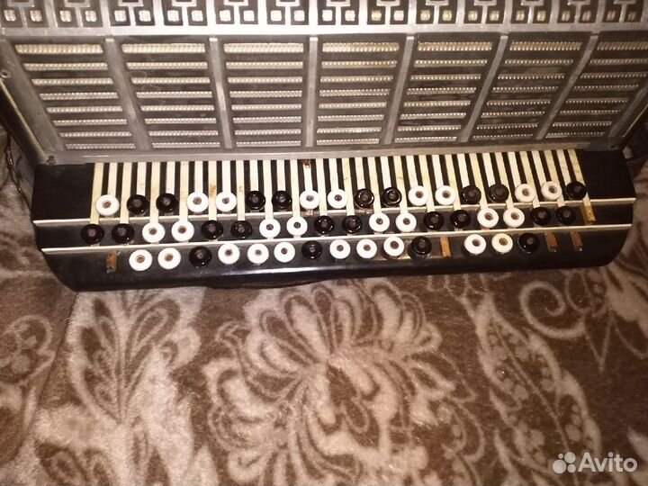 Баян рубин 5