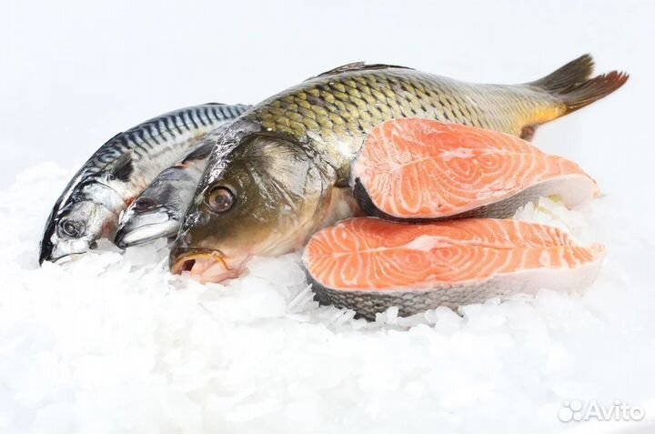 Vагазин морепродуктов с доходом