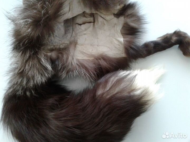 Шкурки чернобурки