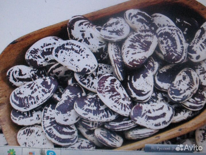 Семена Лимской мраморной фасоли для посадки