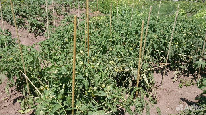 Колышки для растений стеклопластиковые