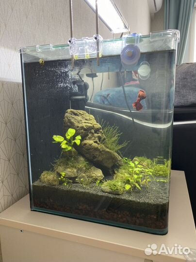 Аквариум Dennerle