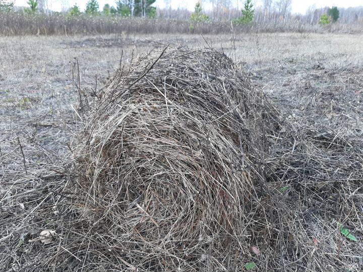 Участок 9,3 га (СНТ, ДНП)