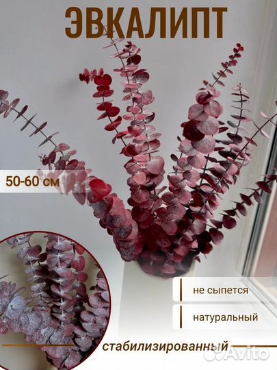 Искусственные цветы эвкалипт