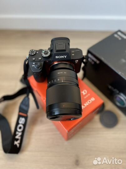 Sony Alpha a7r iii (ilce-7RM3) и Zeiss Distagon