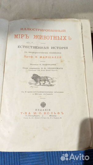 Мир животных