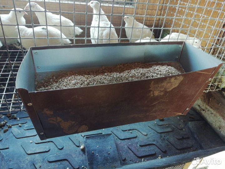 Кормушка для птиц