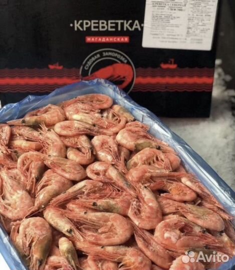 Креветки северные, магаданские и др