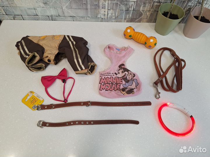 Ошейник комбинезон для собак