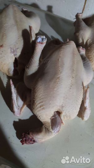 Мясо индейки