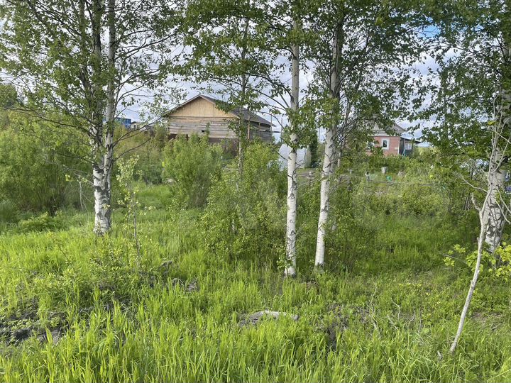 Участок 14,7 сот. (ИЖС)