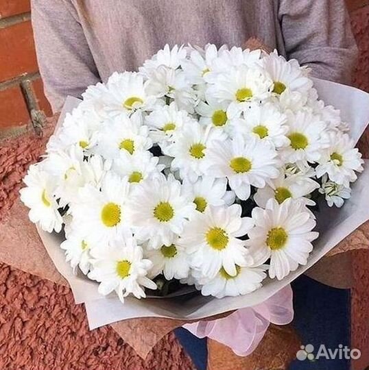 Хризантема Букеты доставка цветов