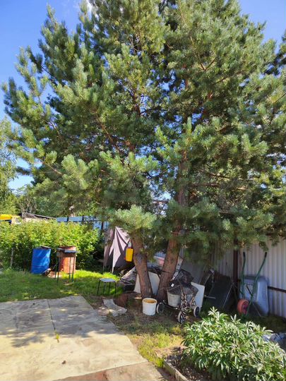 Дача 40 м² на участке 7 сот.