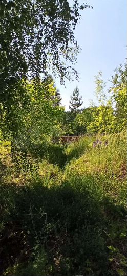 Участок 19 сот. (ИЖС)