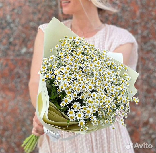 Букеты ромашек