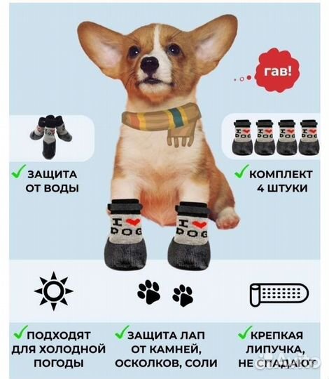 Обувь для собак