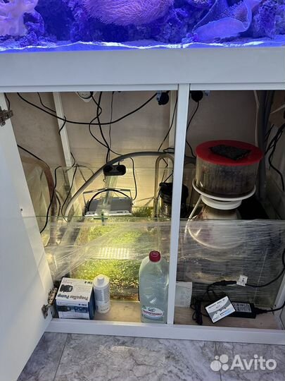 Морской аквариум 400 литров