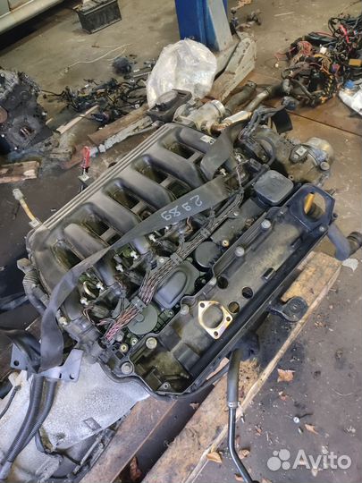 Контрактный двигатель 306d2 дизель bmw x5 e53