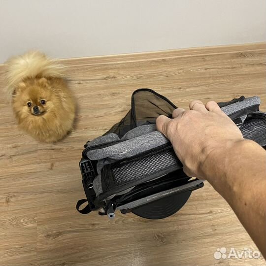 Коляска для собак, кошек