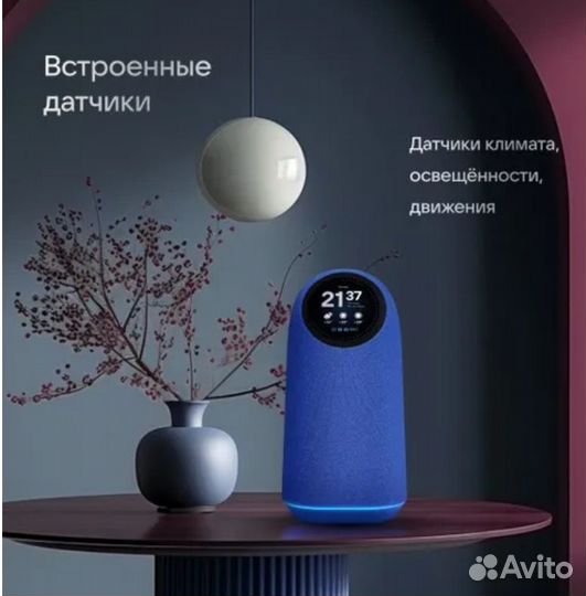 VK Капсула Про с Марусей, Кобальт