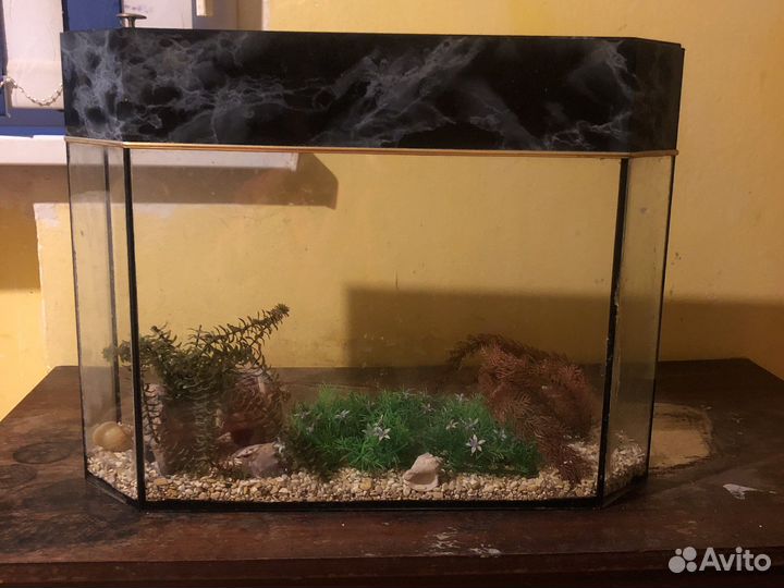 Аквариум