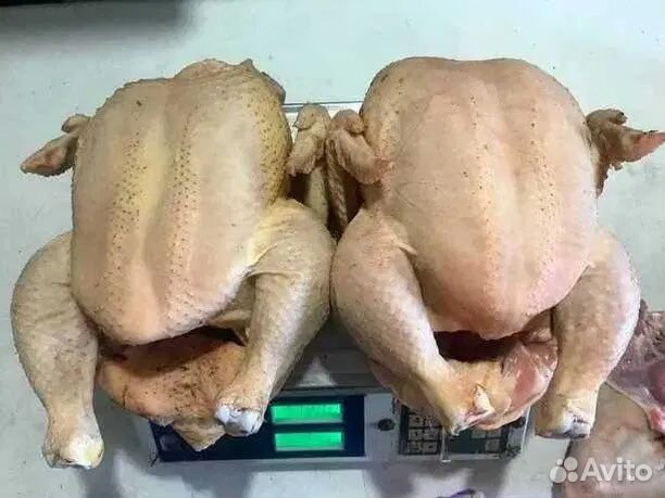 Мясо домашнего бройлера