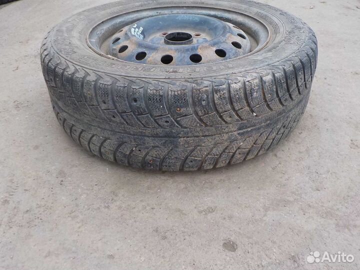 Gislaved Nord Frost 5 195/65 R15