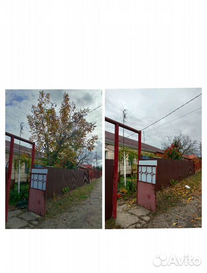 Спиливание деревьев