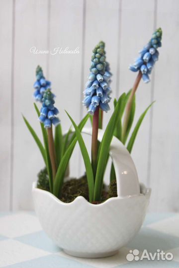 Мускарики цветы