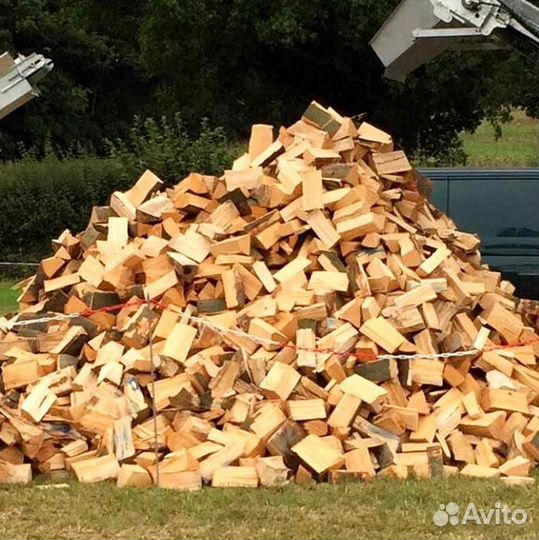 Дрова березовые