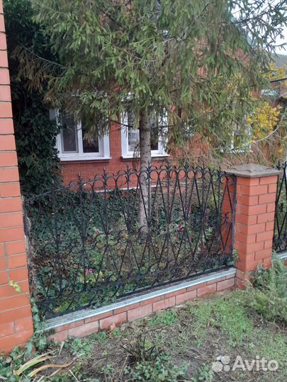 Елка новогодняя живая