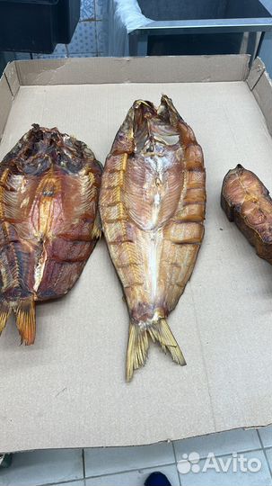 Рыба холоного копчения