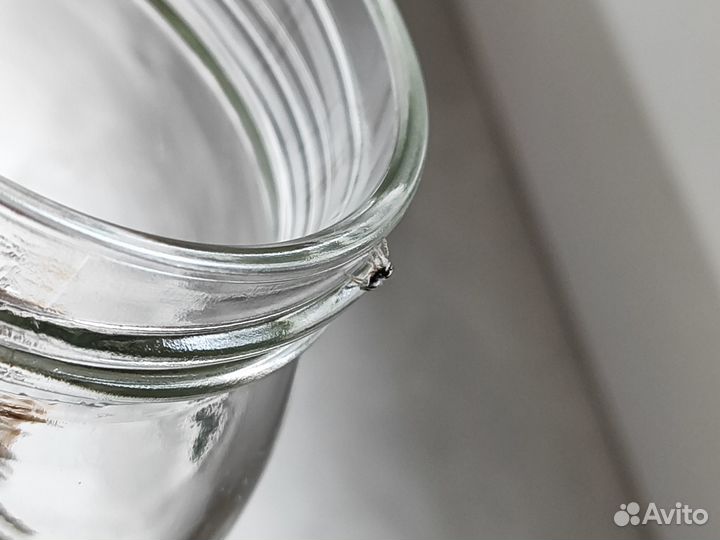 Паук-скакун Philaeus chrysops