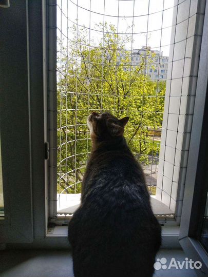 Балкончик для кошки