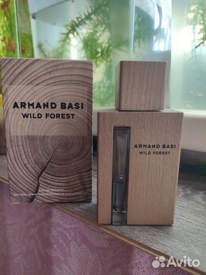 Armand basi Wild forest