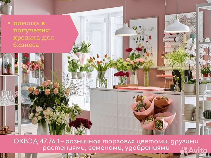 Регистрация ип/ооо Бухгалтерия/Кредит/Поддержка