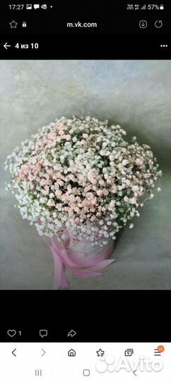 Цветы гипсофила