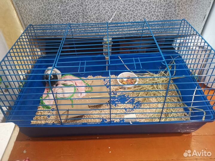 Клетка для грызунов большая
